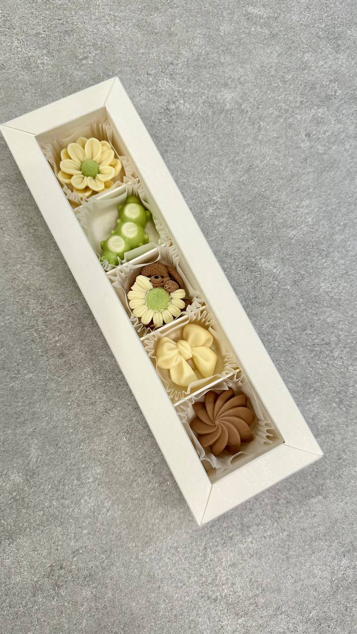 Пенал на 5 шт.