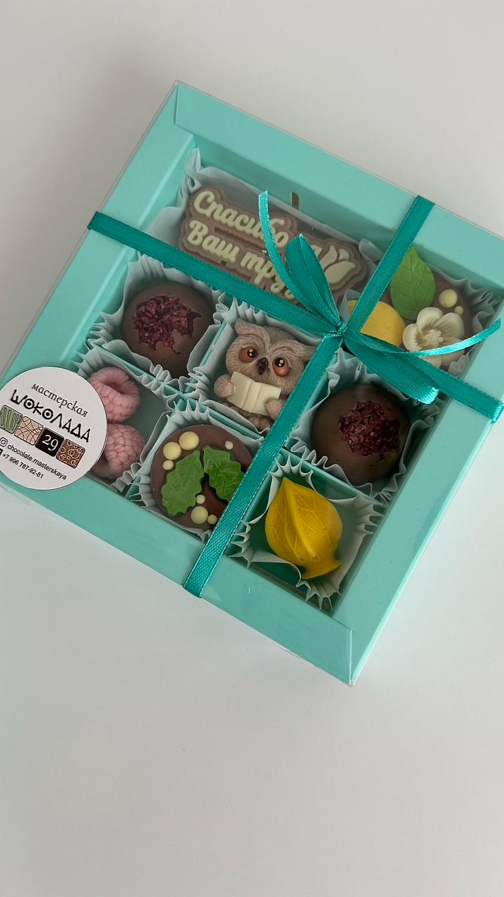 Коробка на 9 ячеек с совенком